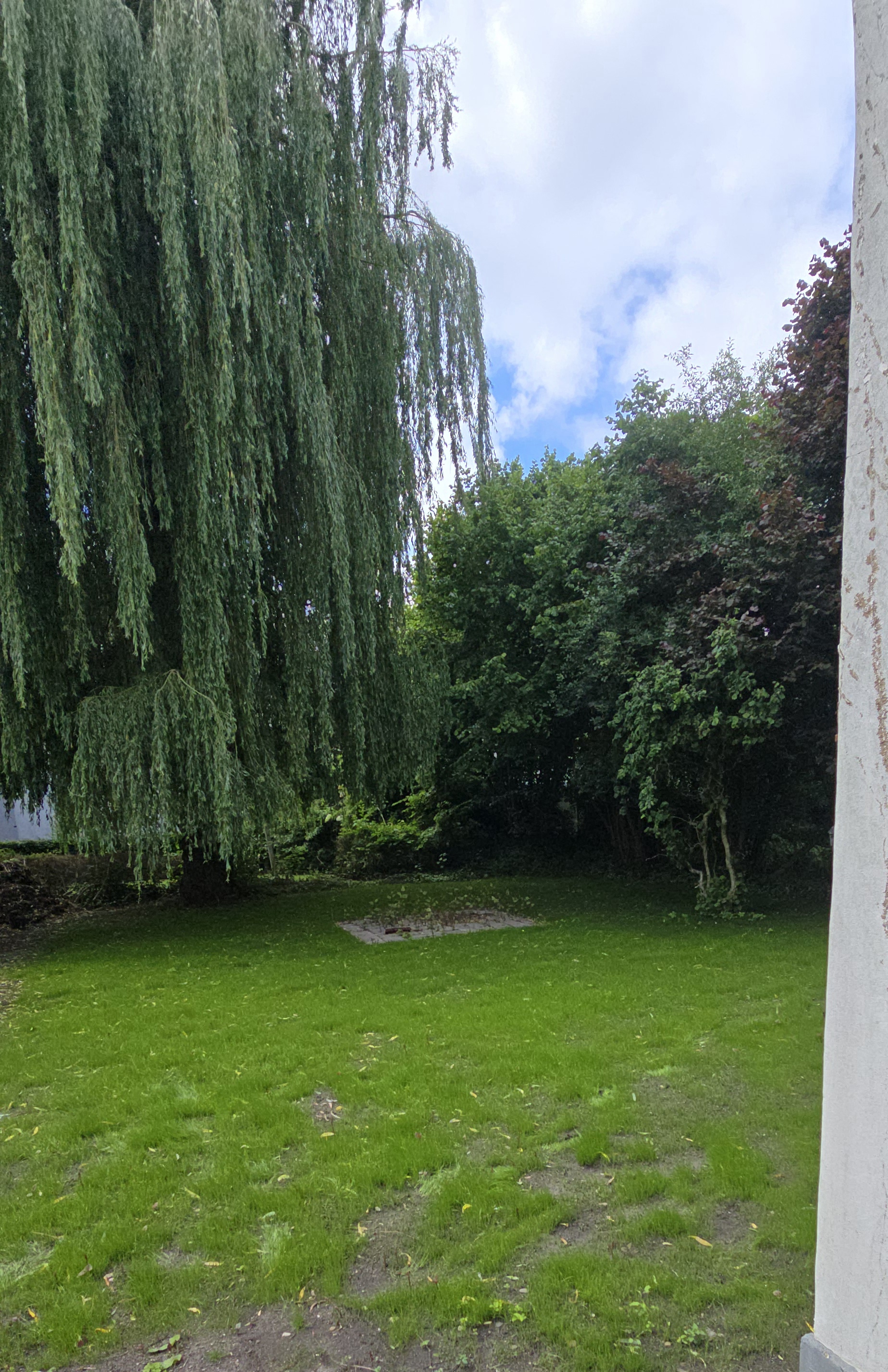 Nachher: geräumter und neu gestalteter Garten